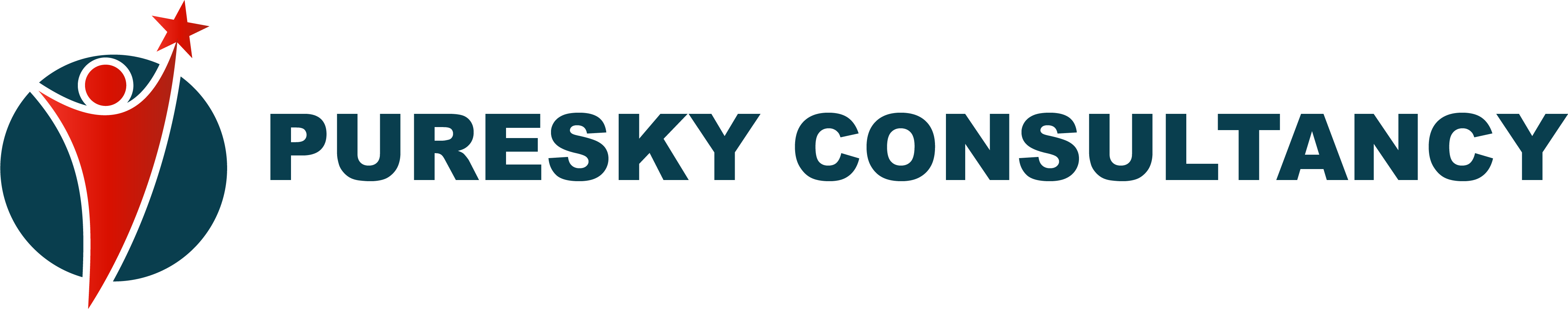 Puresky Consultancy